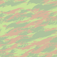 ���U�[�h�p�^�[���i���F�j